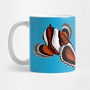 Orange ocellaris clownfish from behind Mug